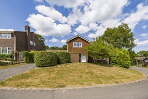 Photo 1- click for photo gallery